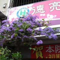 德亮診所